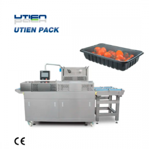 Continous Automatic Tray Sealer