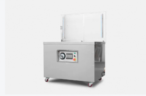 Single Chamber Vacuum Packaging Machine